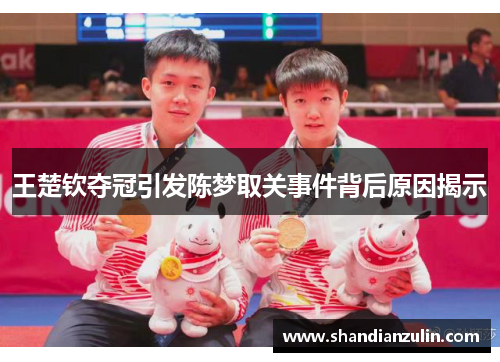 王楚钦夺冠引发陈梦取关事件背后原因揭示 王楚钦夺冠引发陈梦取关事件背后原因揭示