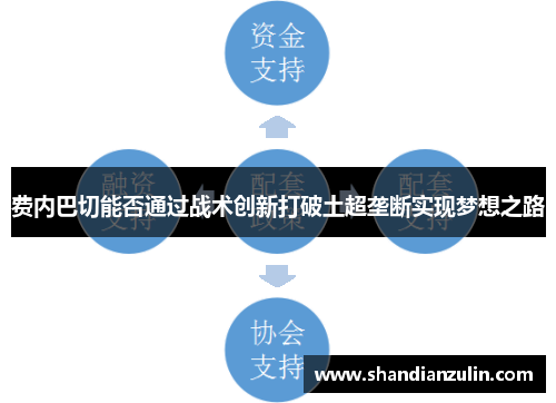 费内巴切能否通过战术创新打破土超垄断实现梦想之路